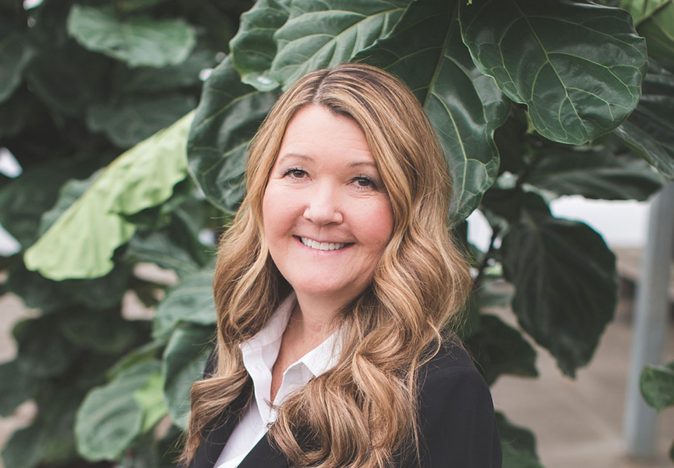 portfolio_overview_video_cover